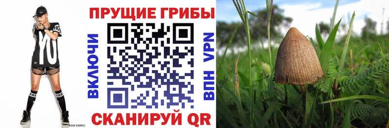 Галлюциногенные грибы мицелий Никольск