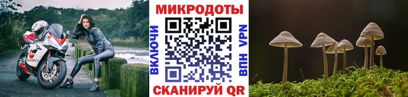 Псилоцибиновые грибы MAGIC MUSHROOMS  купить наркоту  даркнет наркотические препараты  Никольск 
